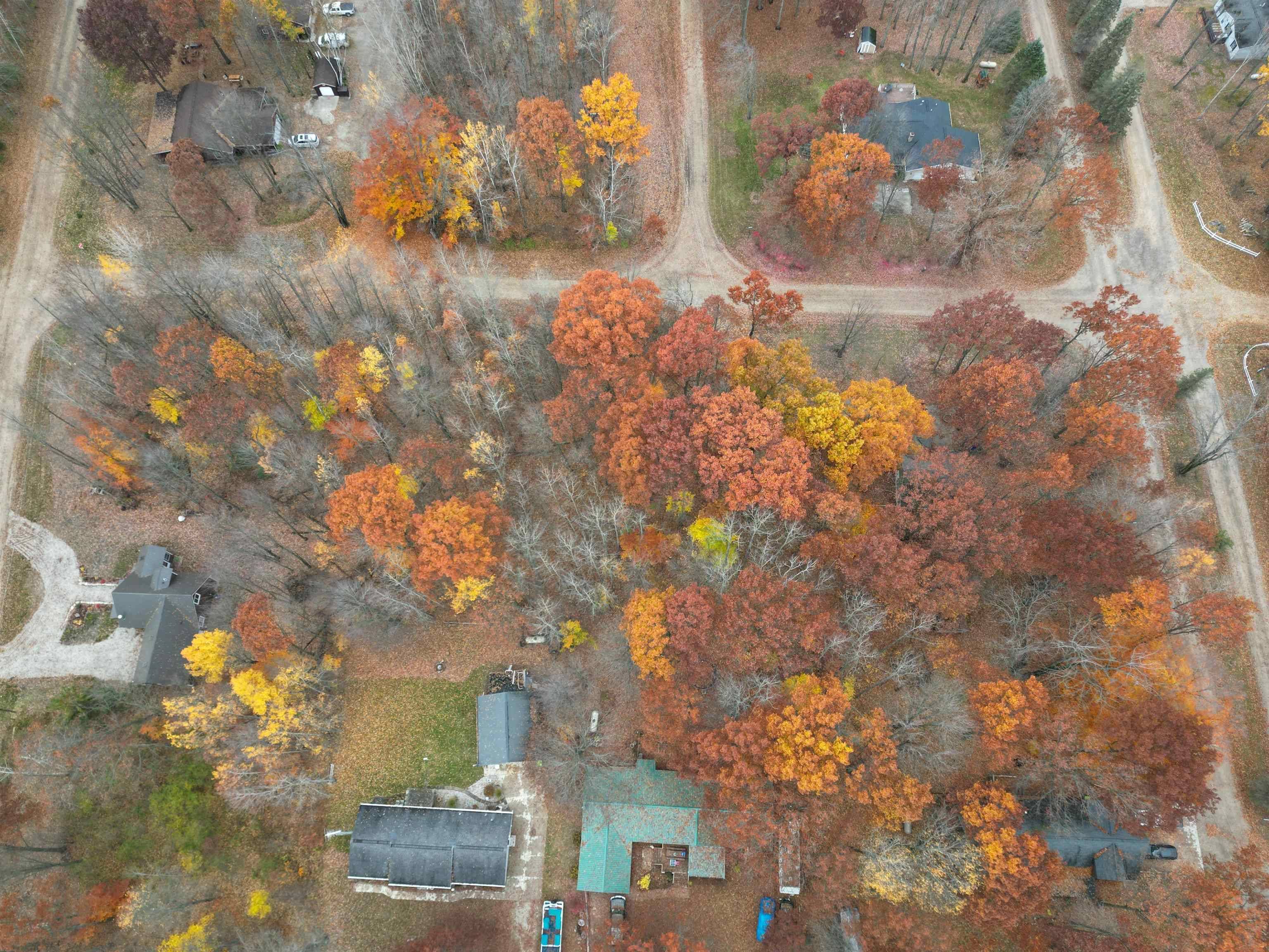 TBD White Cedar Drive, Lake, MI 48632