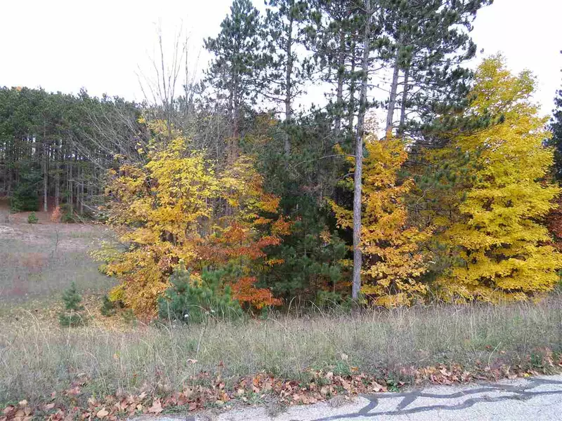 Lot 41 Pleasant Valley, Kingsley, MI 49649