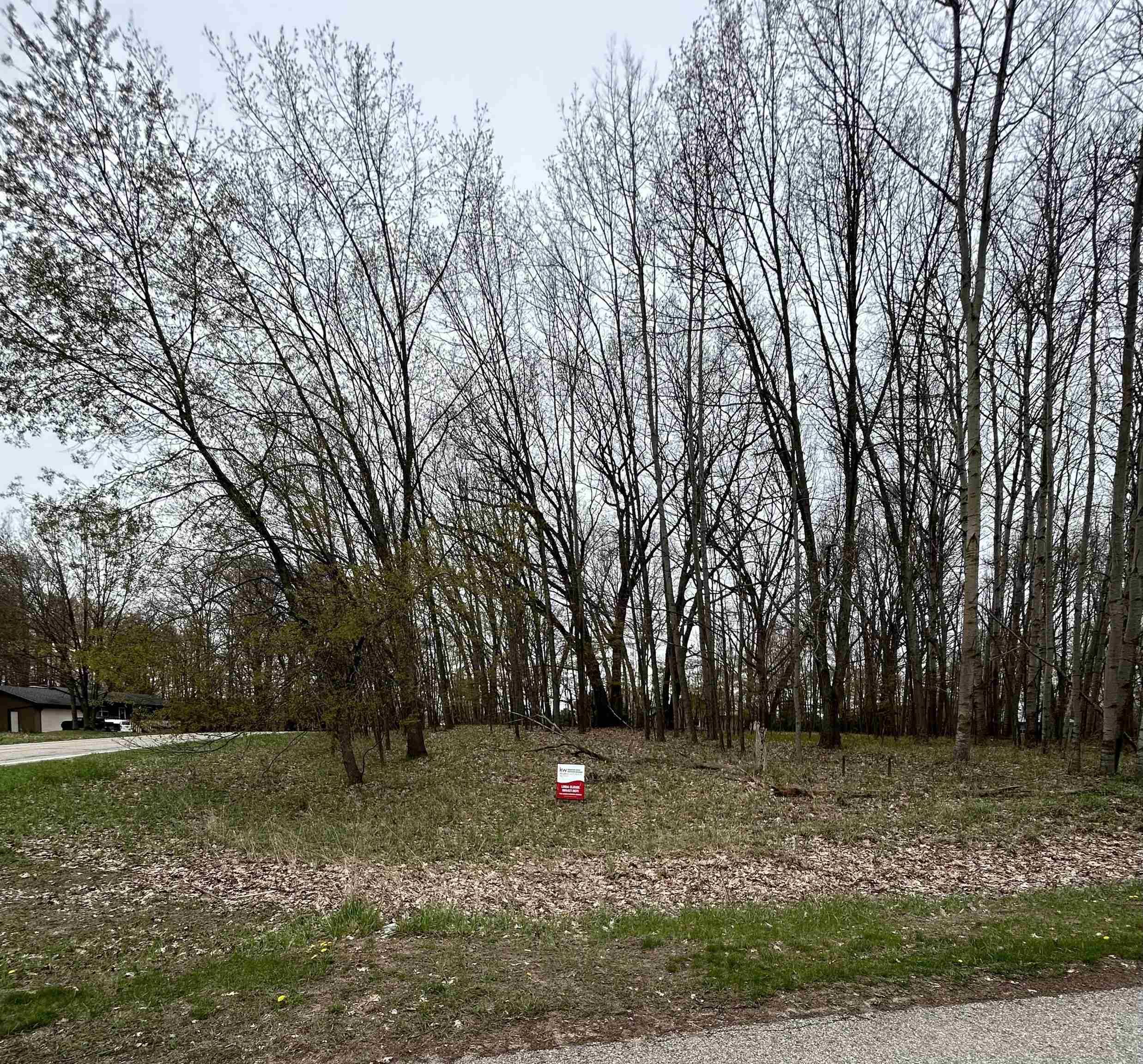 1048 Bundy Drive, Lake Isabella, MI 48893