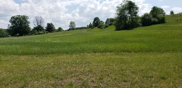 Alden, MI 49612,Lot 38 Alden Meadows