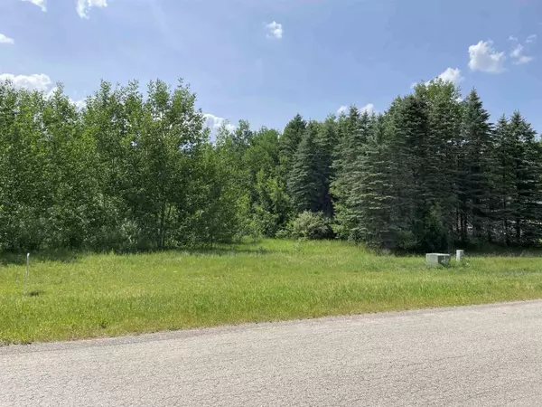 Buckley, MI 49620,Lot 2 Ringneck Lane