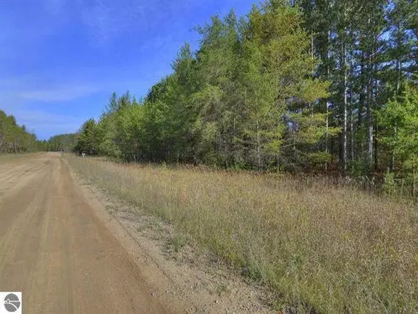 Fife Lake, MI 49633,000 Lots 4 & 5 Bourne Road