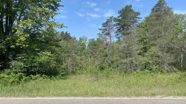 Mancelona, MI 49659,Lot 264-265 Pineview