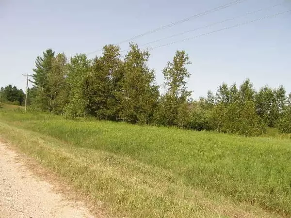 Marion, MI 49653,TBD vacant M-66