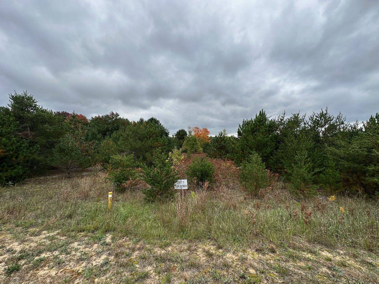 Kalkaska, MI 49646,56 SE Blue Heron Drive