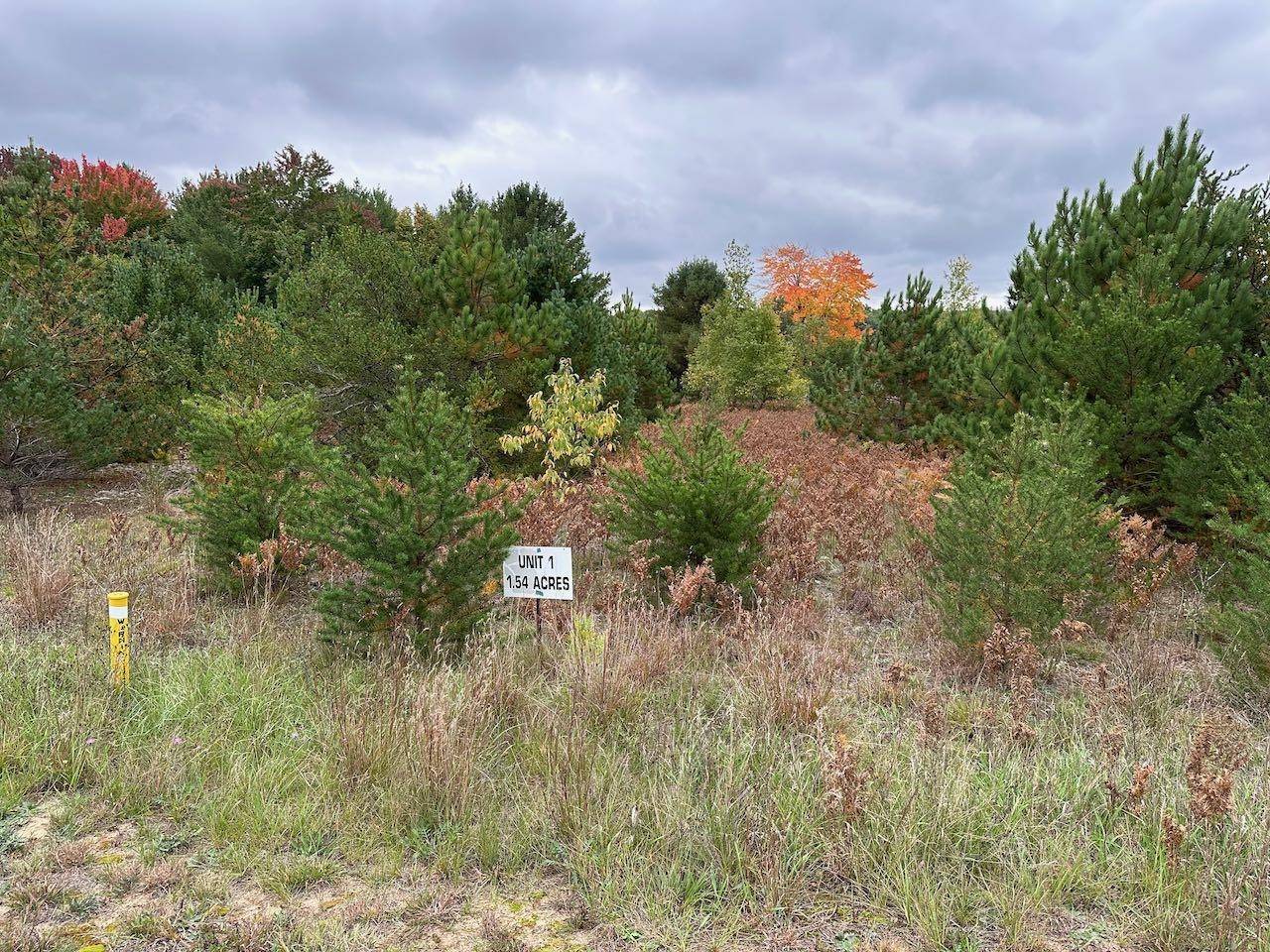 Kalkaska, MI 49646,56 SE Blue Heron Drive
