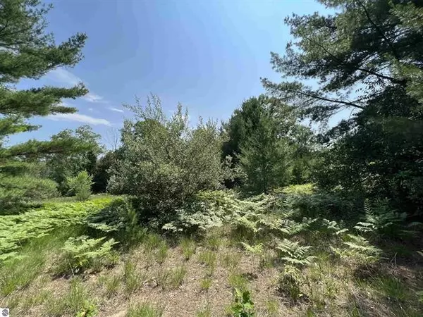 Williamsburg, MI 49690,lot 3 Cushman Court