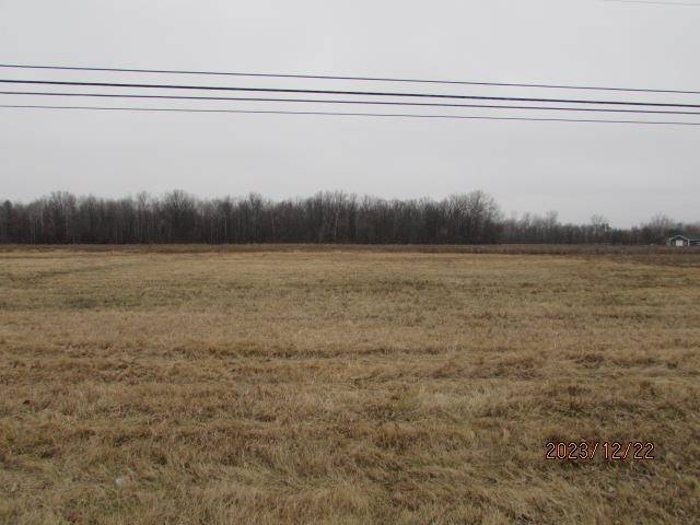 Mount Pleasant, MI 48858,TBD E Pickard Road