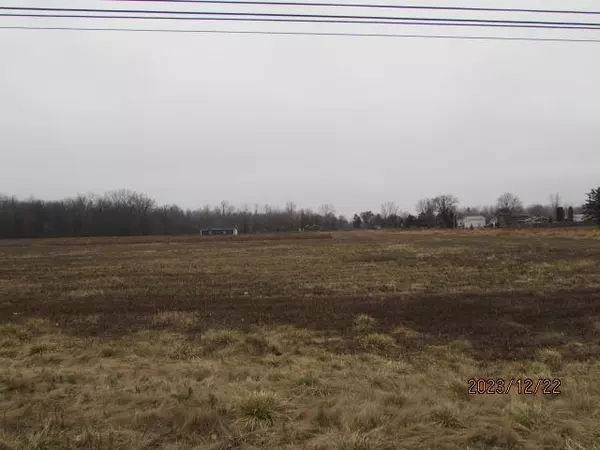 Mount Pleasant, MI 48858,TBD E Pickard Road