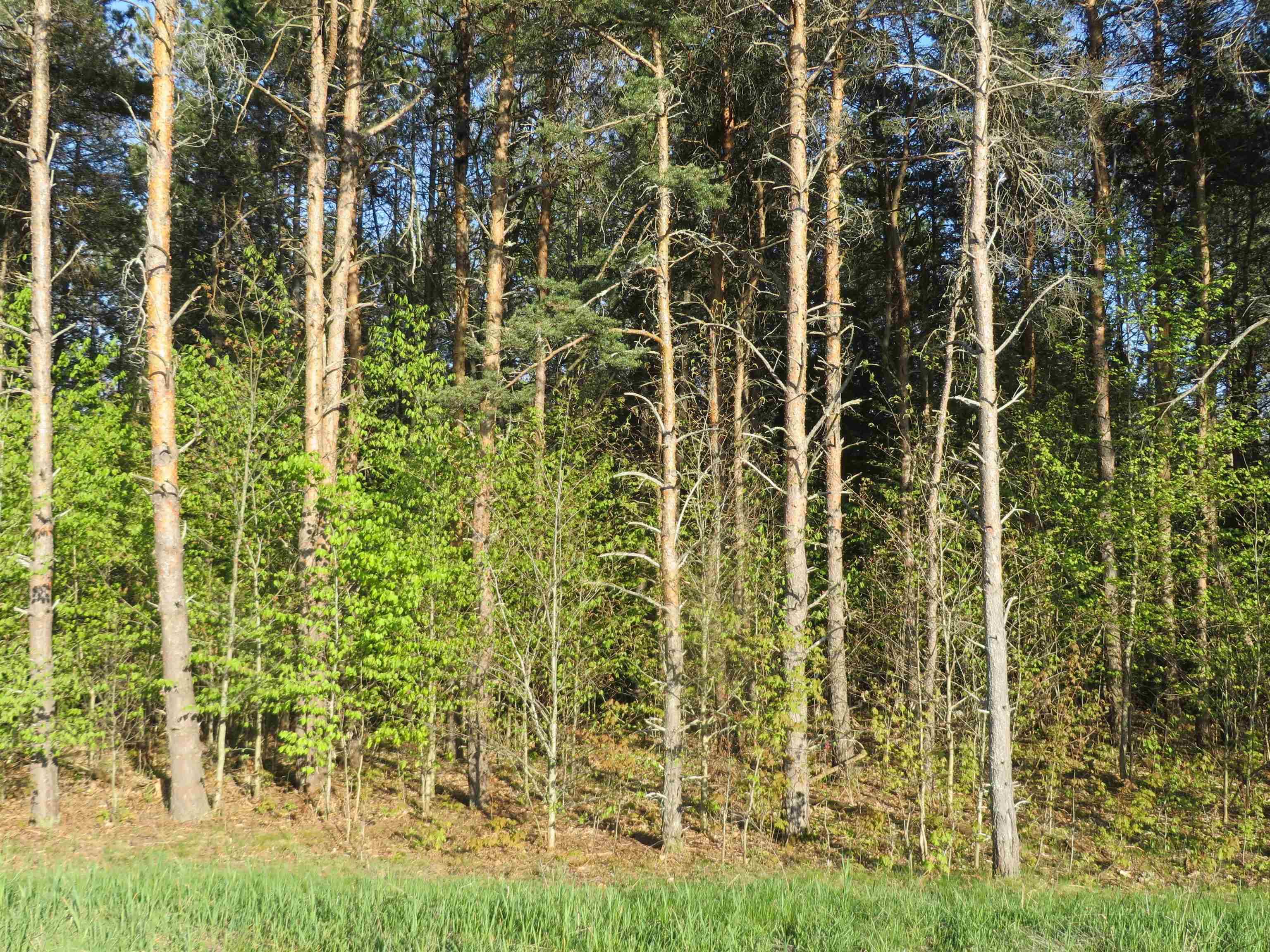 Grawn, MI 49637,4181 Maple Hill Road
