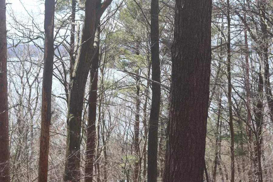 lot 5 Crystal View Commons, Beulah, MI 49617