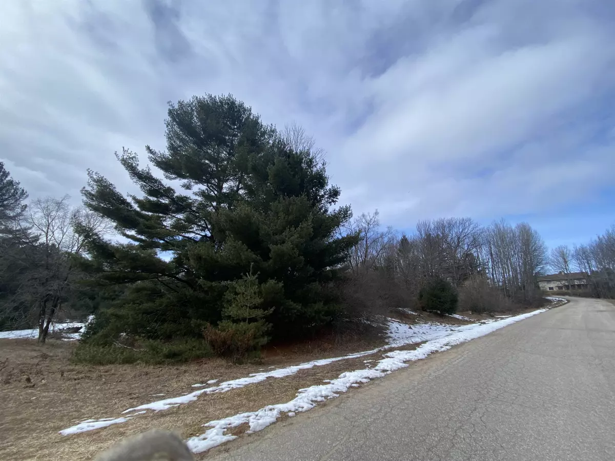 Williamsburg, MI 49690,Lot 31 Scenic Hills Drive