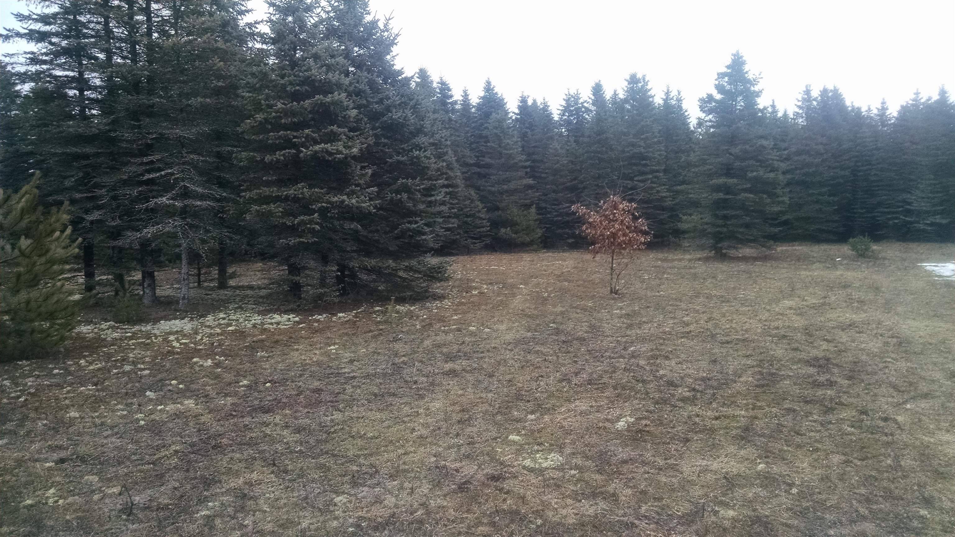 Fife Lake, MI 49633,11537 Pheasant Drive