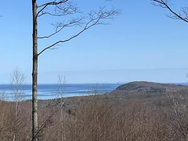 Lake Leelanau, MI 49653,E Wee Brook Lane