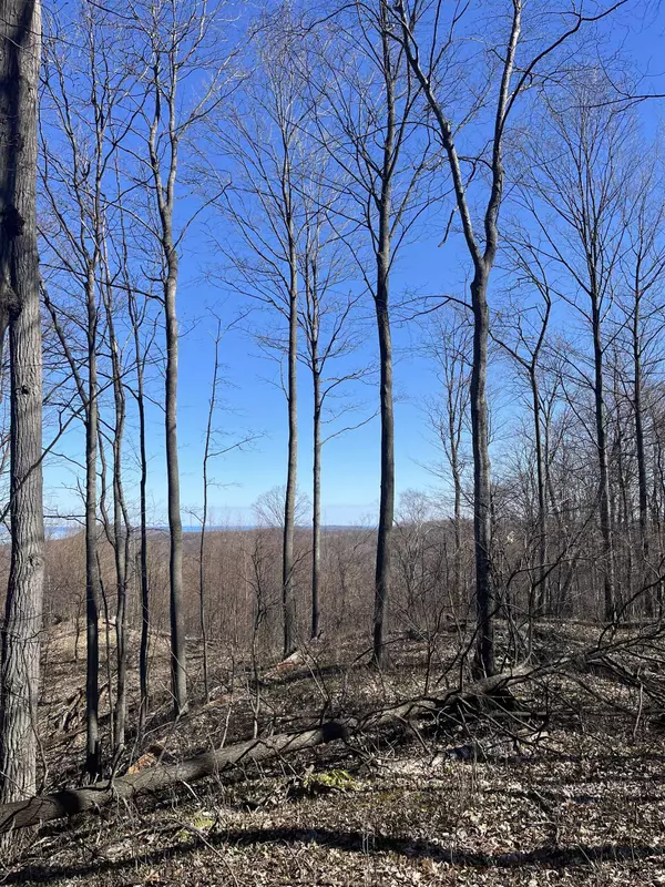 Lake Leelanau, MI 49653,E Wee Brook Lane