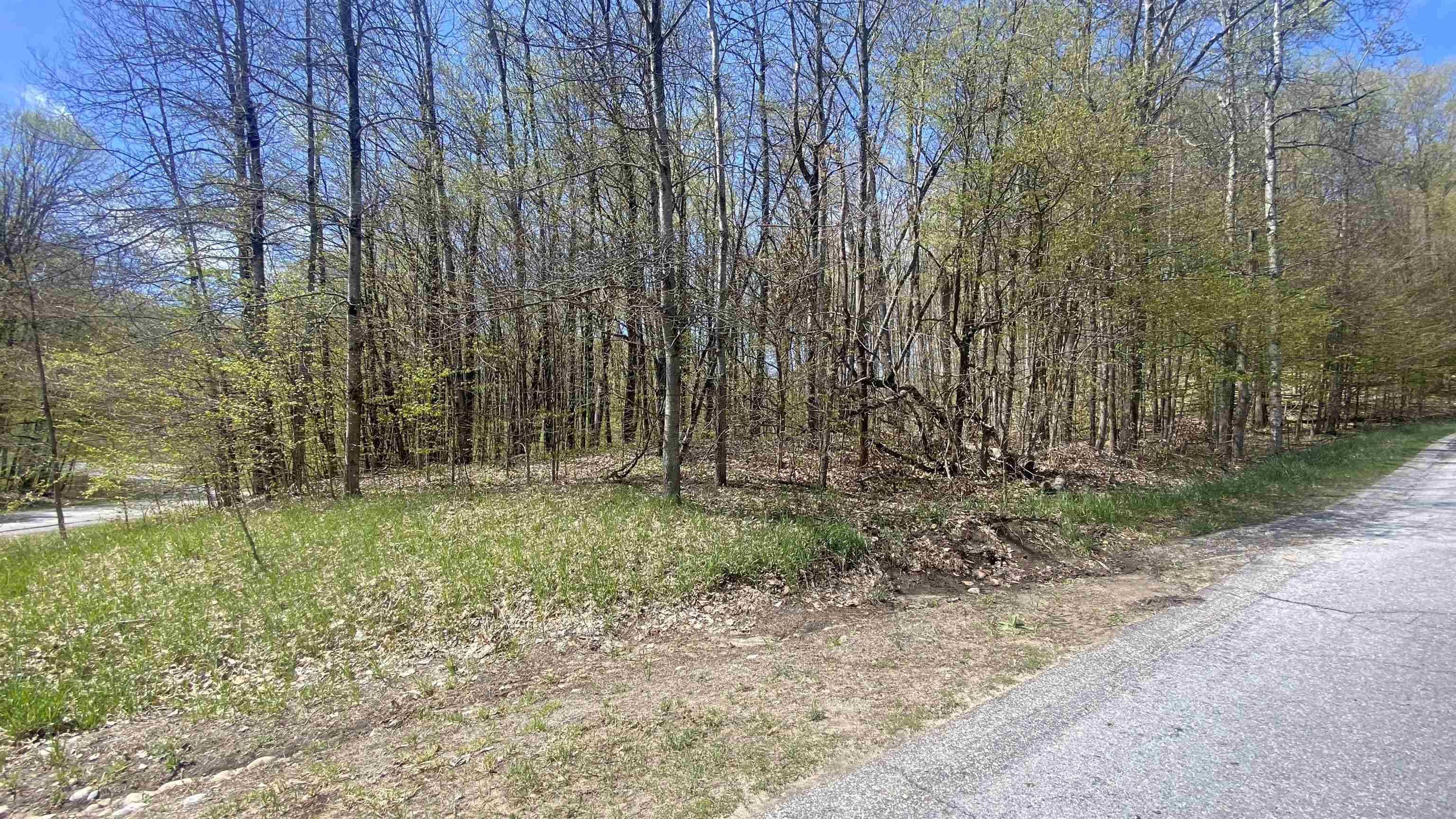 Bellaire, MI 49615,Lot 105-106 East Village Drive