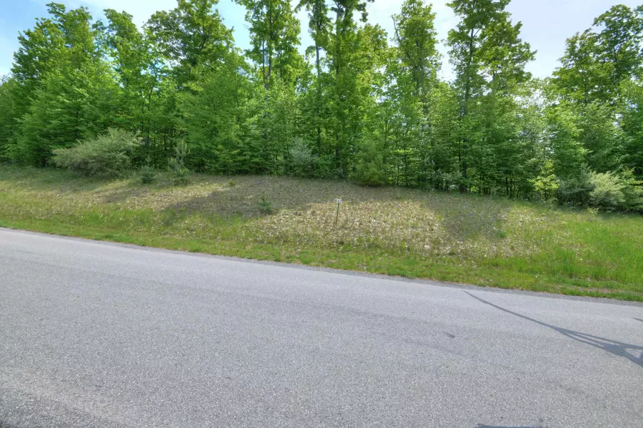 Lot 43 S Skye Hill Drive, Traverse City, MI 49684