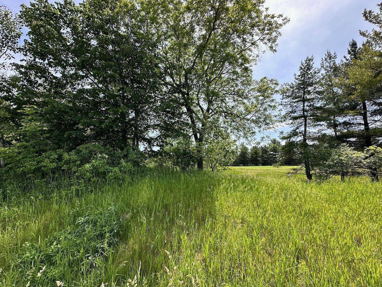 Bellaire, MI 49615,Lot 8 Schoolcraft Road