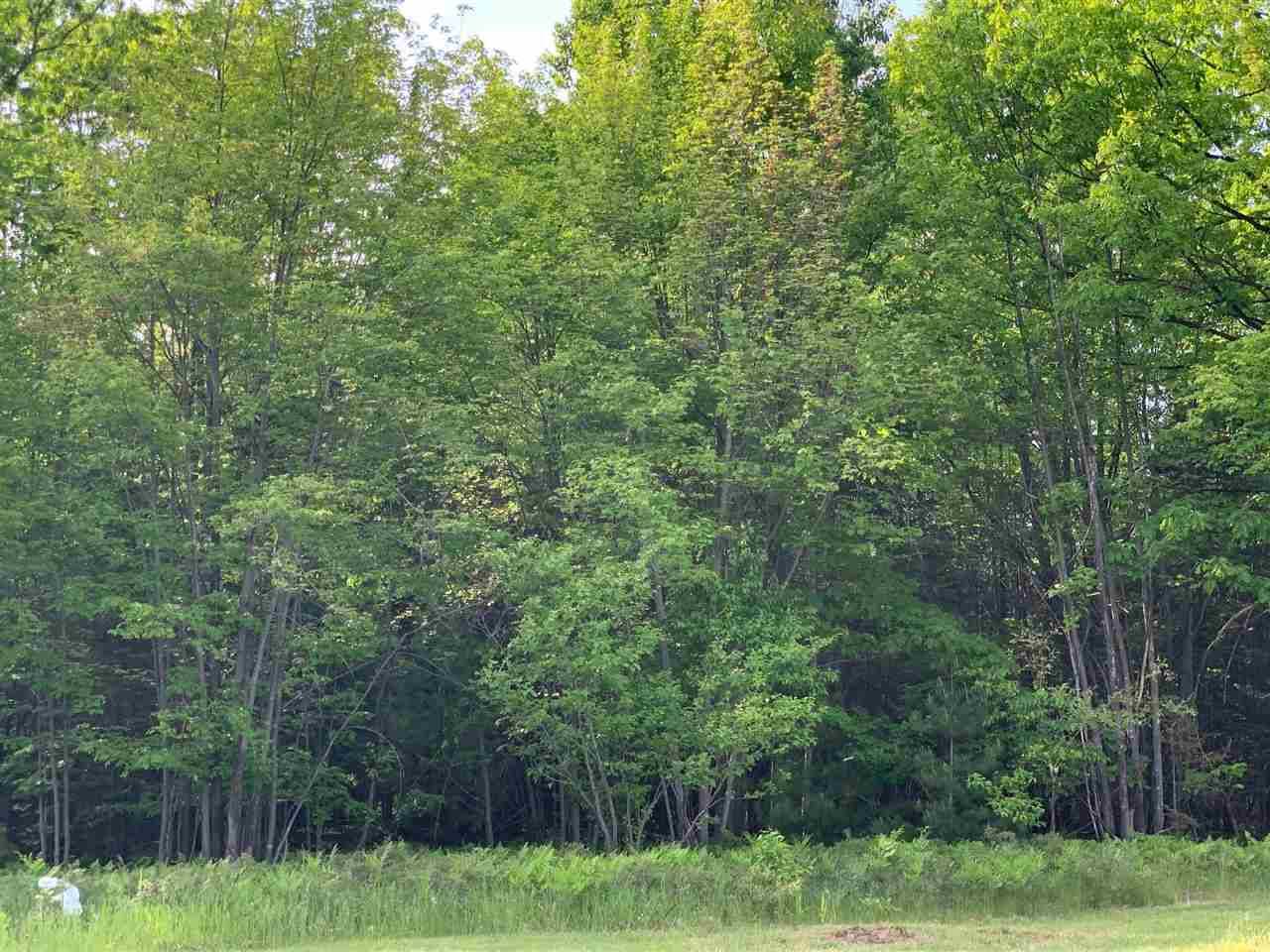 Houghton Lake, MI 48629,XXX W Houghton Lake Drive