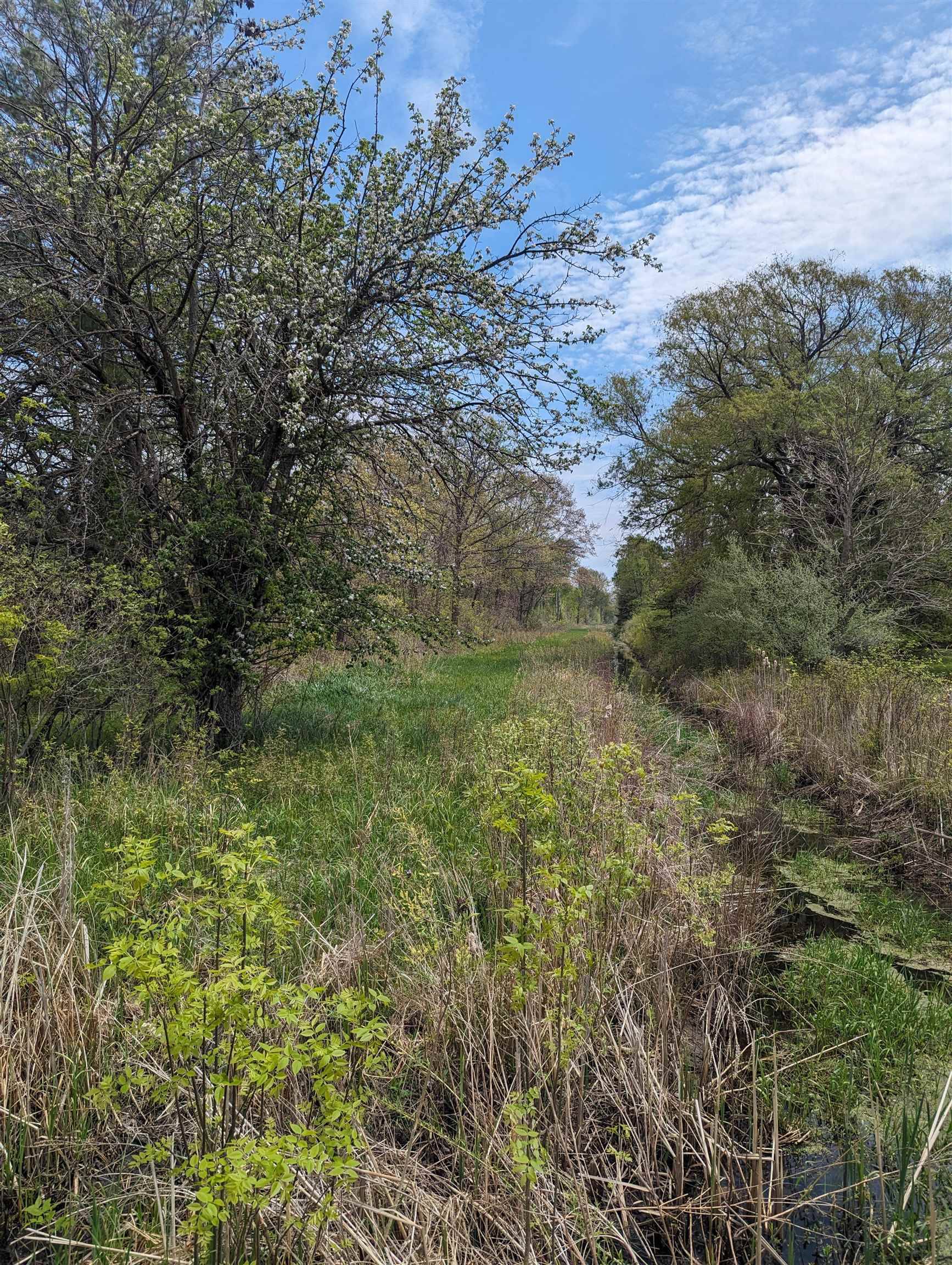 N/A Santiago Road, Au Gres, MI 48703