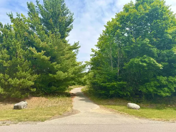 Frankfort, MI 49635,19 High Meadow Trail