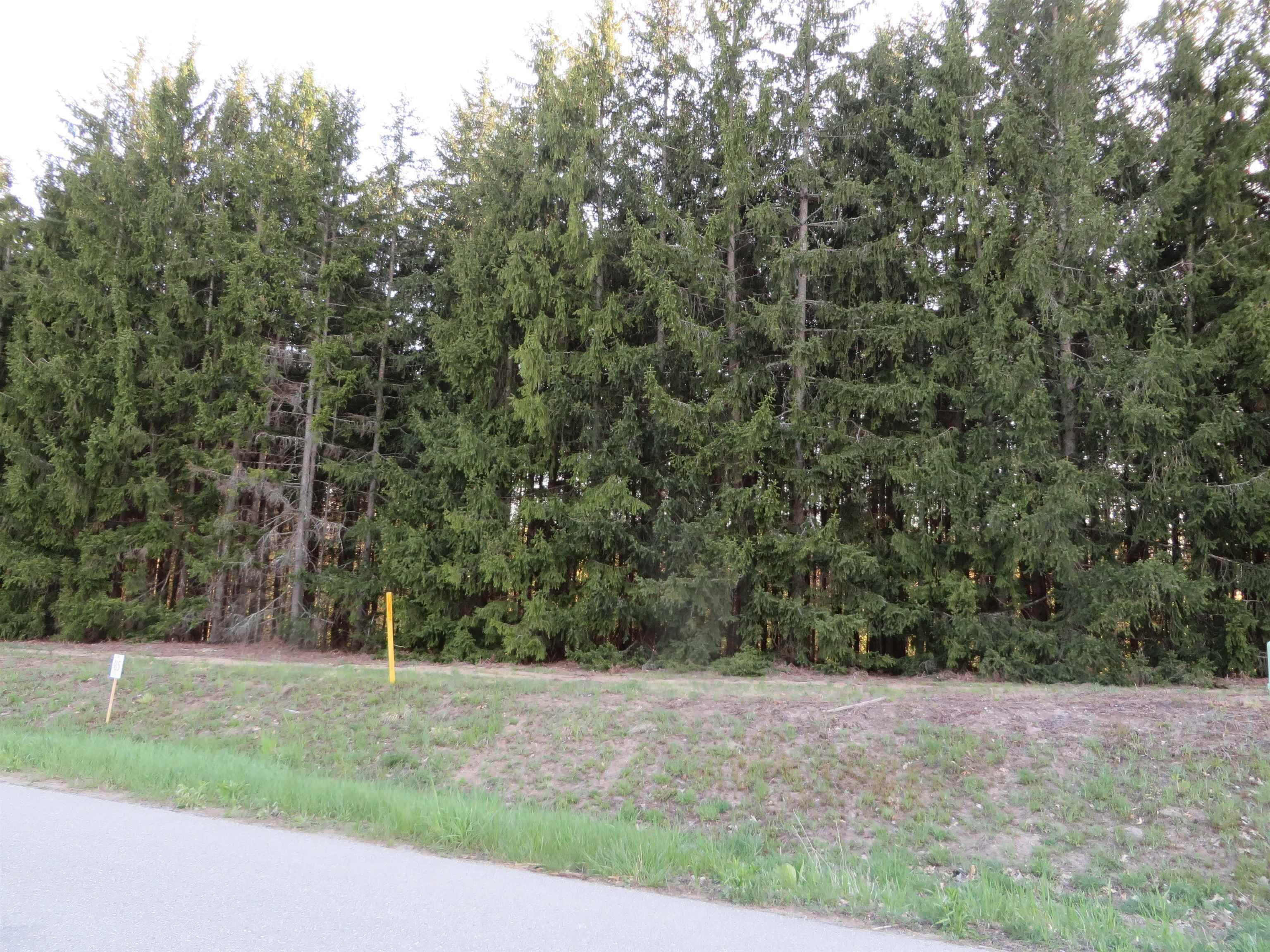 Fife Lake, MI 49633,1015 Spruce Hollow Trace