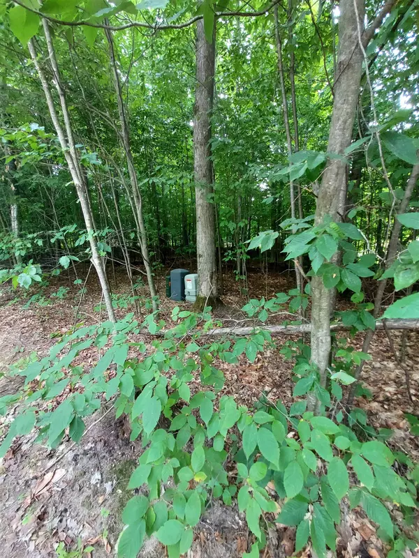 Bellaire, MI 49615,197 Hawks Eye Drive