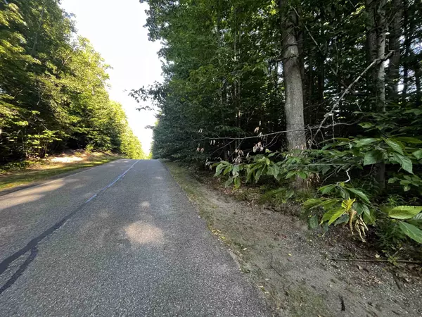 Bellaire, MI 49615,61 Sparrow Hawk Drive