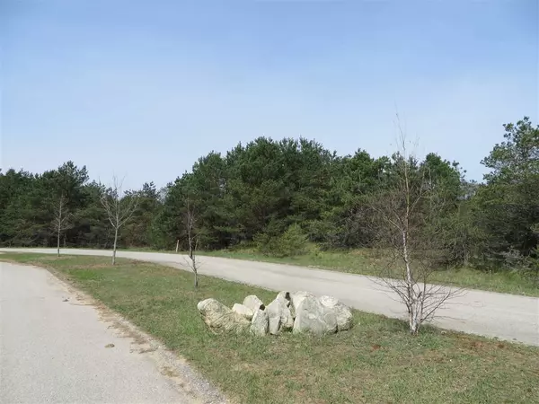 Fife Lake, MI 49633,5 Spruce Hollow Trace