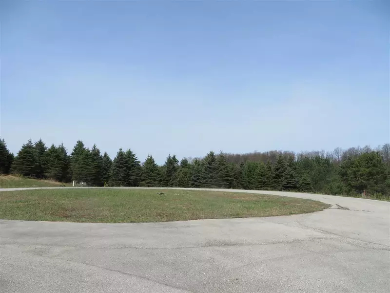 4 Spruce Hollow Trace, Fife Lake, MI 49633