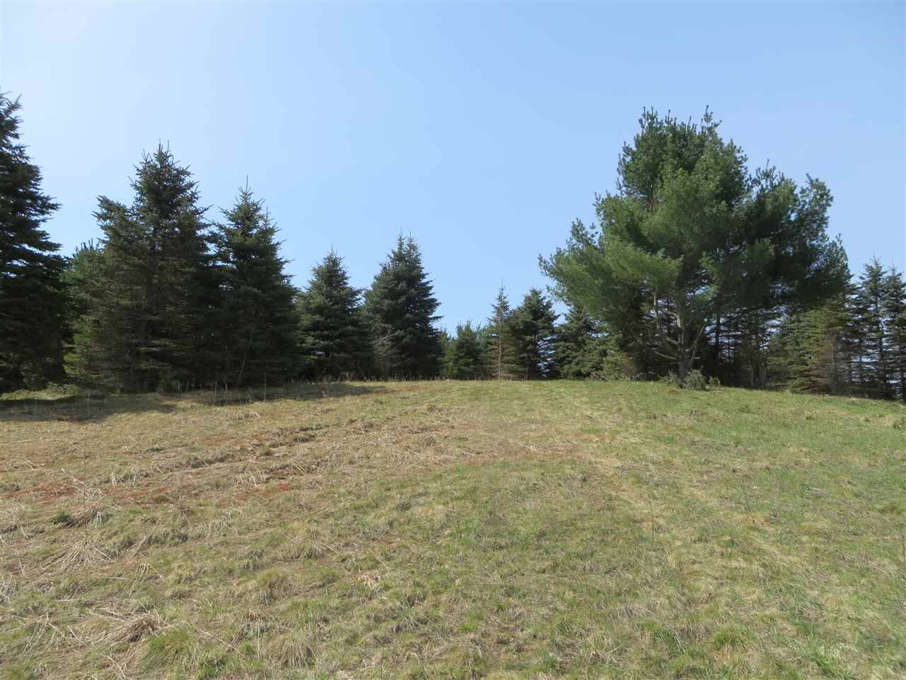 3 Spruce Hollow Trace, Fife Lake, MI 49633