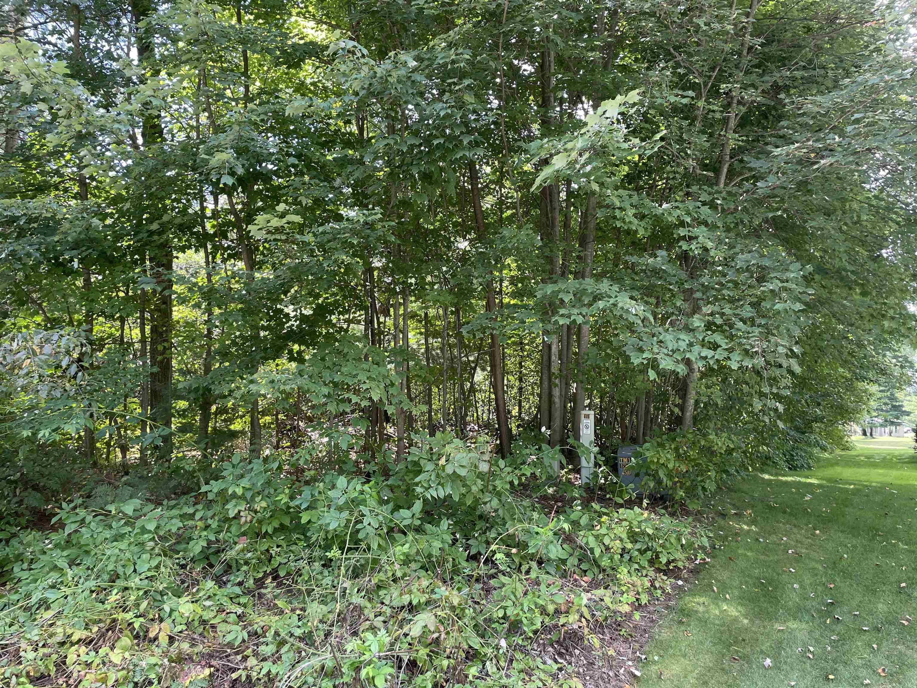 Cadillac, MI 49601,00 White Pine Drive