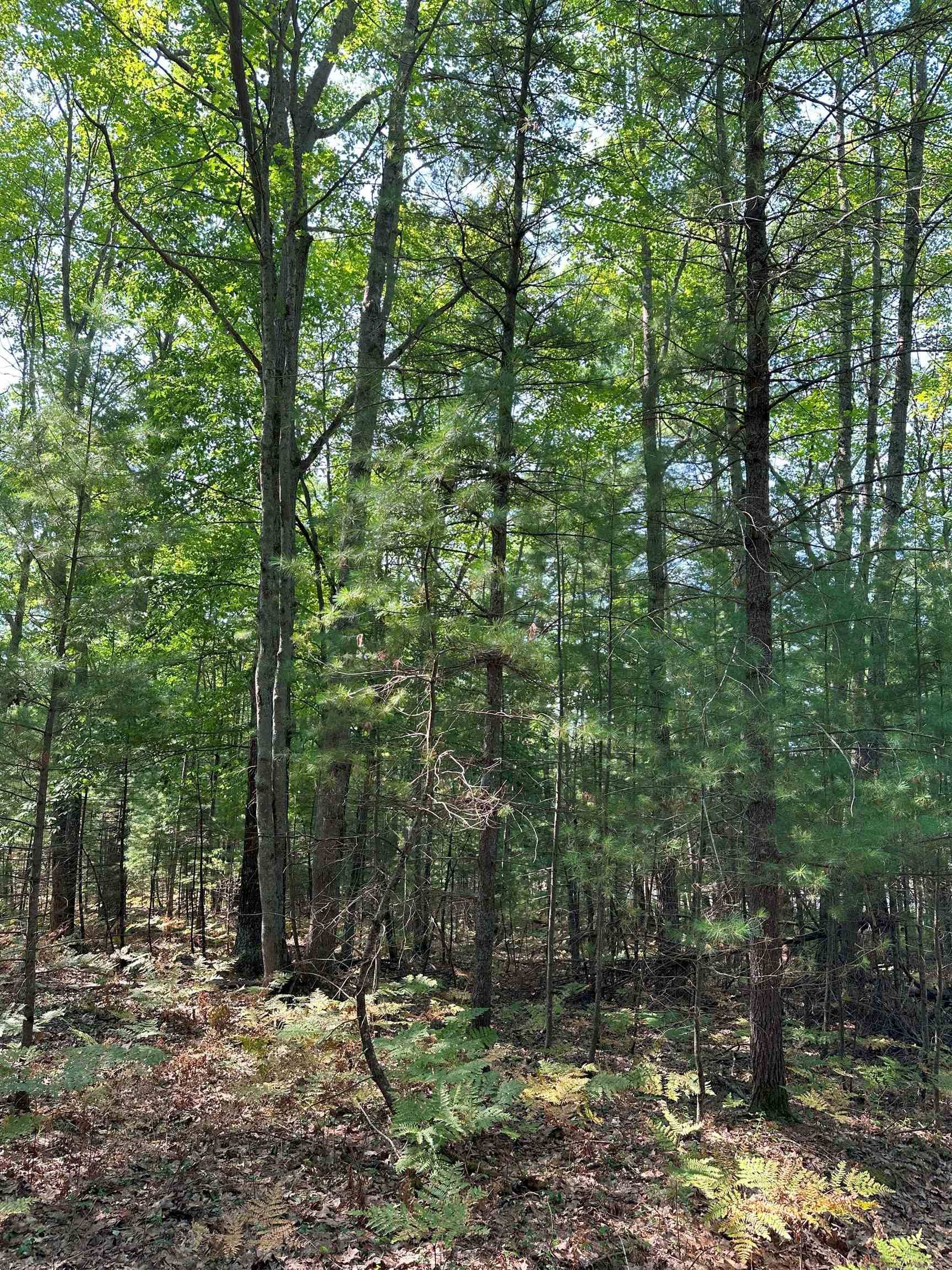 Kalkaska, MI 49646-8514,592 SE Blue Heron Drive