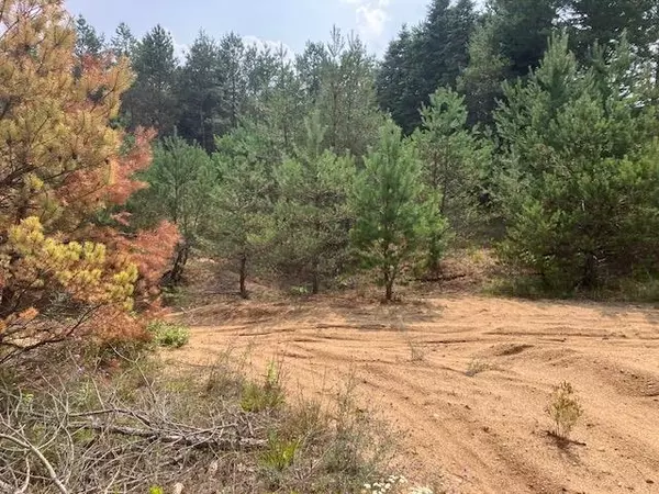 10.25 N 2 1/2 Road, Buckley, MI 49620