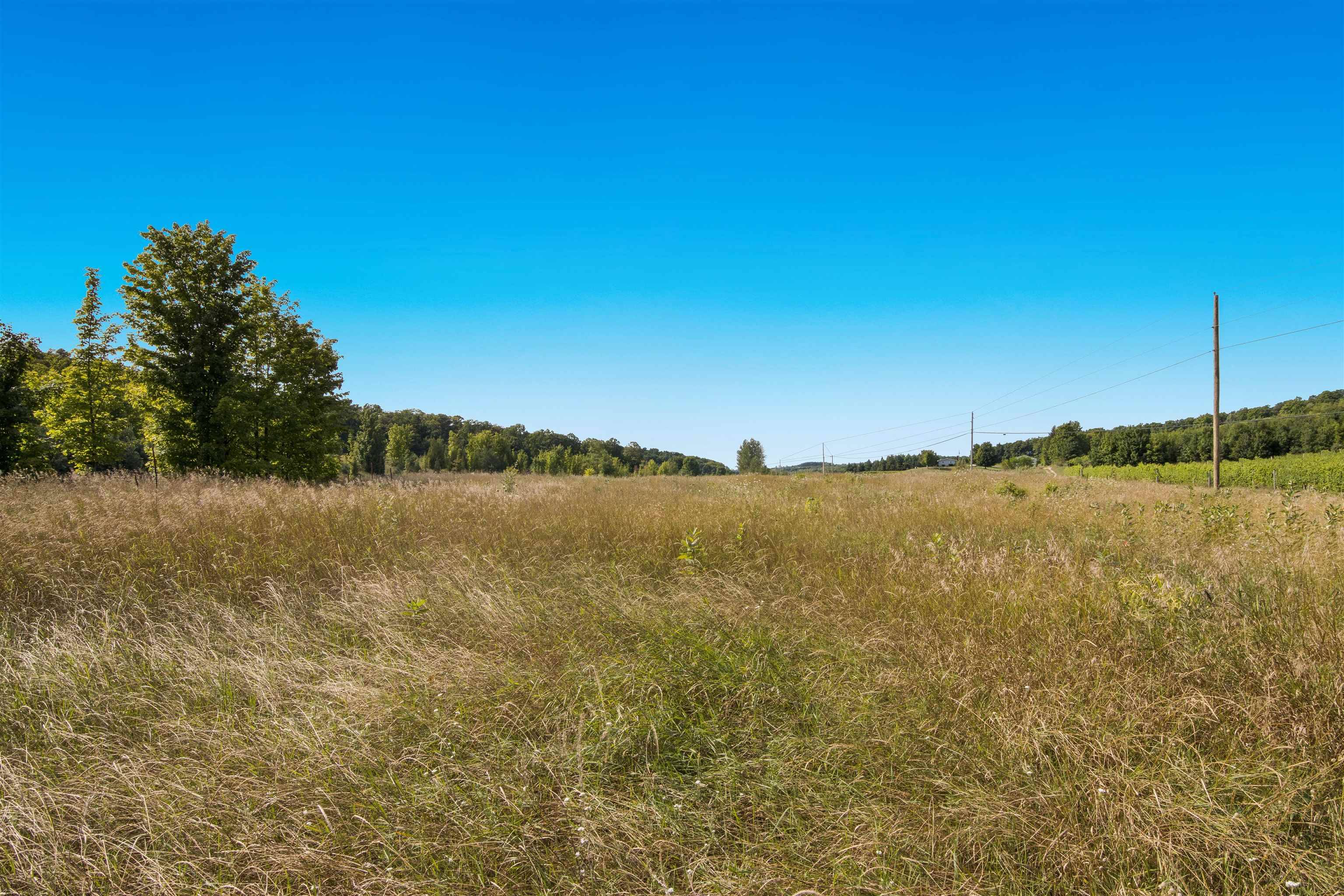 Suttons Bay, MI 49682,00000 E Duck Lake Road