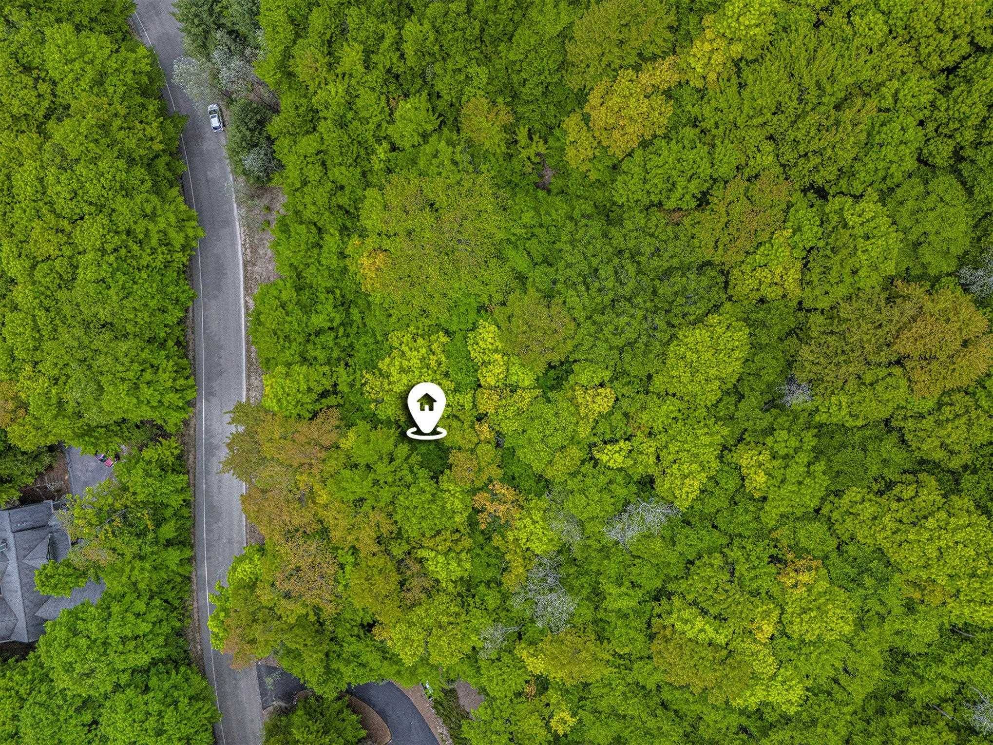 Thompsonville, MI 49683,Lot 12 Mountain Woods Drive