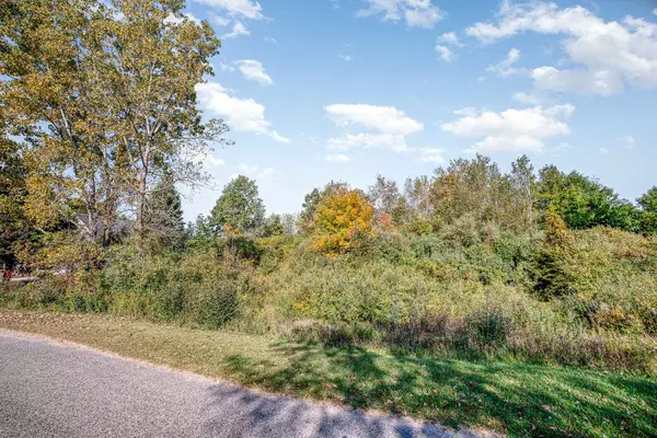 Perrinton, MI 48871,TBD Ash Court