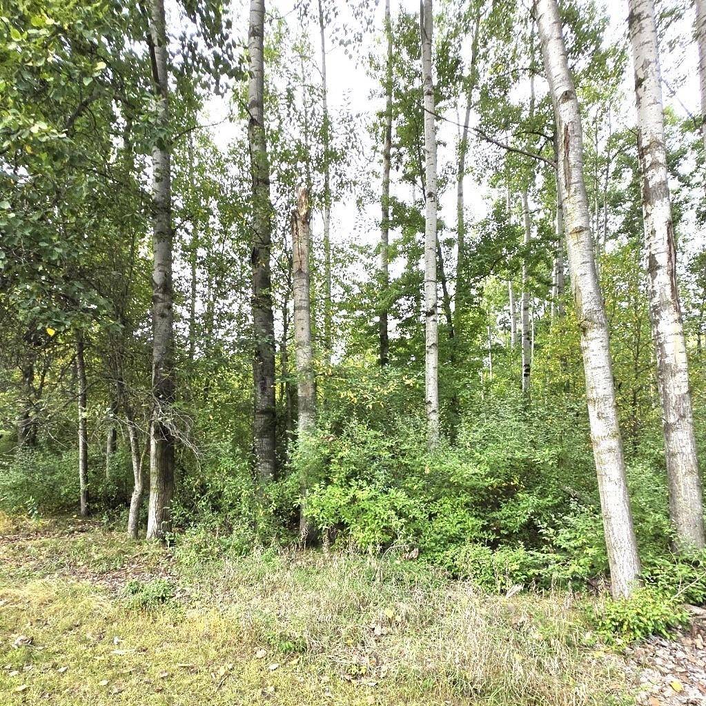 Lake Isabella, MI 48893,2003 Granada Court