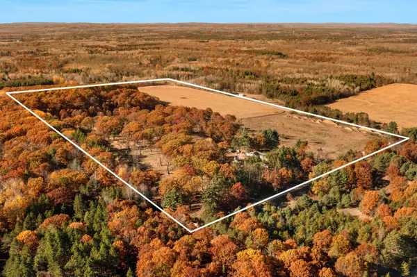 Kaleva, MI 49645,7070 Devils Drive