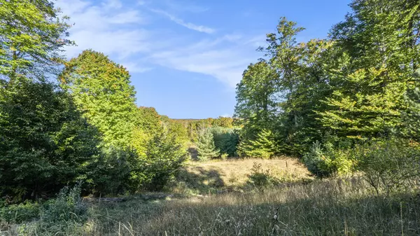 Honor, MI 49640,Lot F Manitou Passage Drive