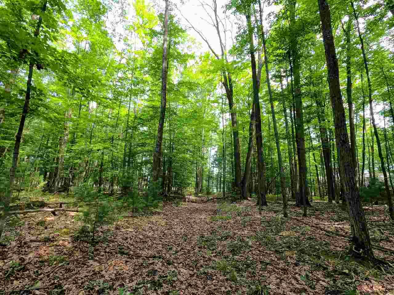 Kalkaska, MI 49646,864 SE Blue Heron Drive