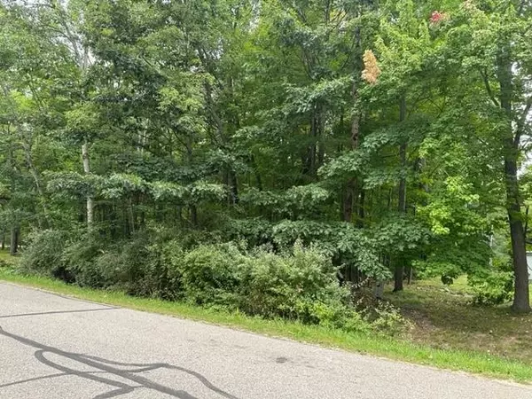 Lake Isabella, MI 48893,1064 Barcelona Drive