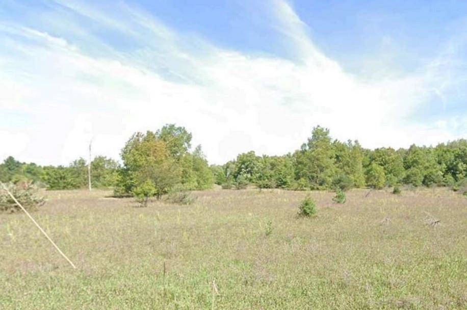 Thompsonville, MI 49683,Unit 8 North Street