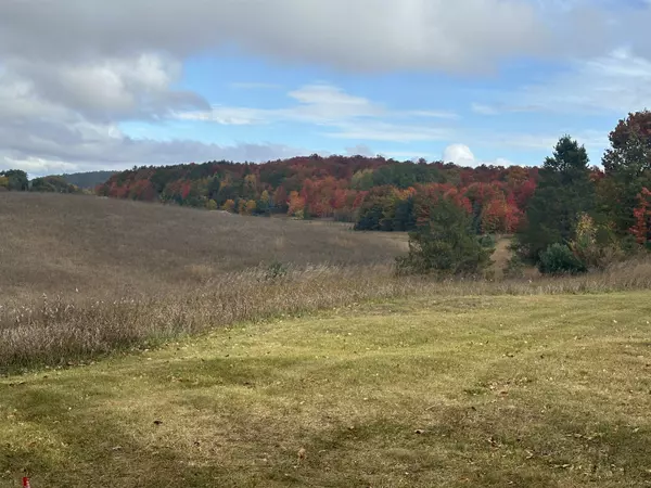 Lake Leelanau, MI 49621,40 Acres S Schomberg