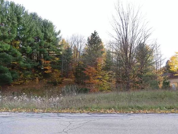 Lot 63 Eden Street, Kingsley, MI 49649