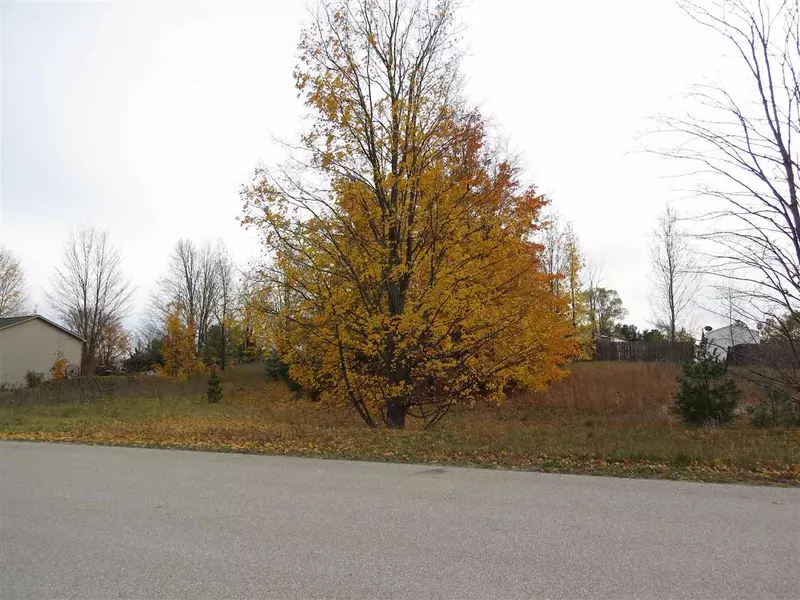 Lot 66 Eden Street, Kingsley, MI 49649