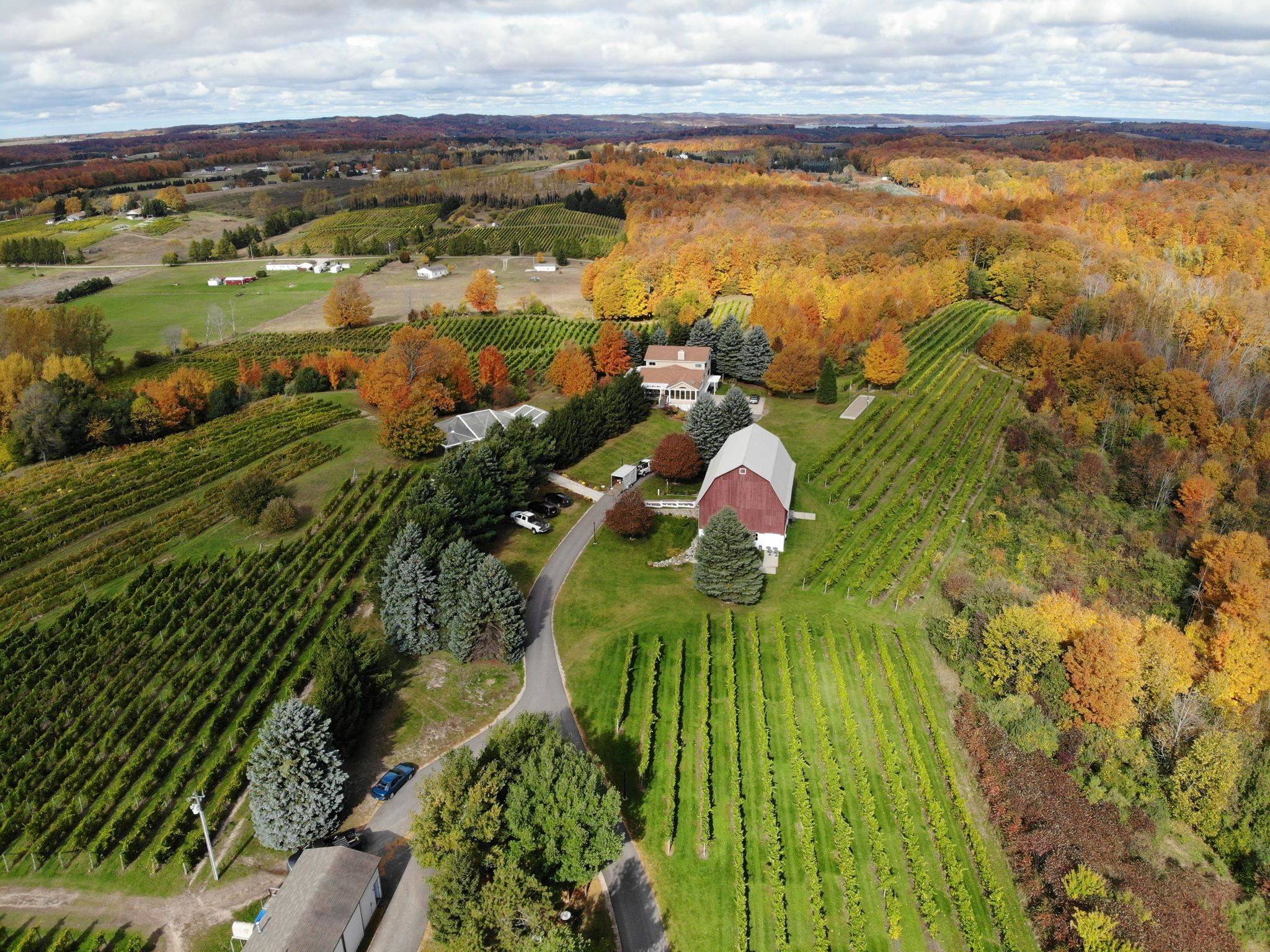 Suttons Bay, MI 49682,10343 E Hilltop Road
