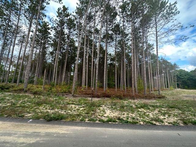 Traverse City, MI 49685,1980 Cascade Trail