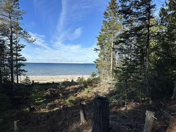 32010 Mrs Reddings Trail, Beaver Island, MI 49782