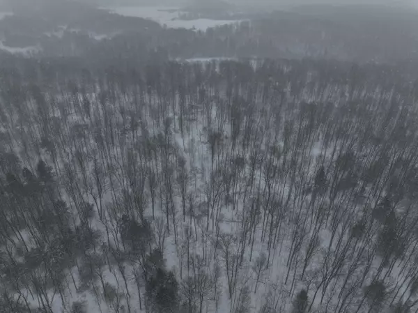 Kingsley, MI 49649,0000 Footpath Trail